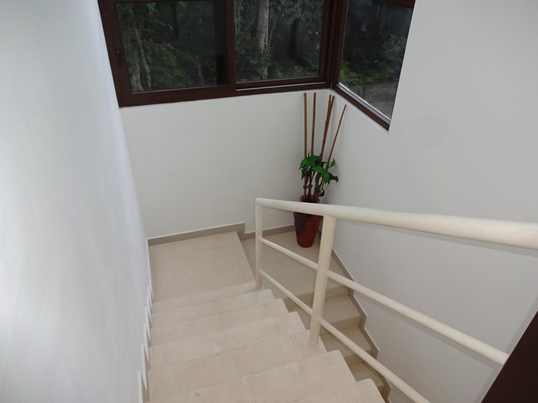 Kayifi Buy, Sell & Rent Tropical Real Estate